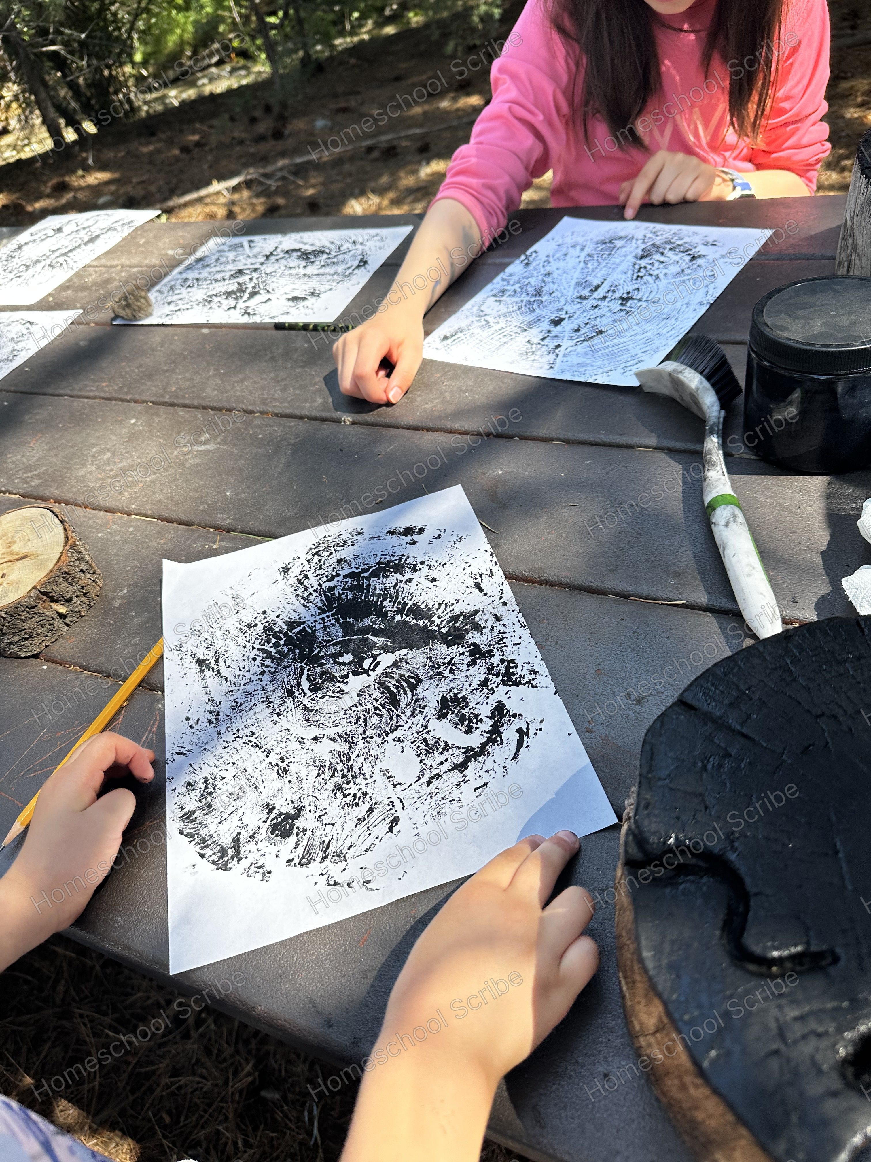 Tree Rubbing
